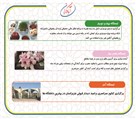 آموزشگاه کنکور و تقویتی آبادگران (دخترانه) - تصویر 134572