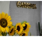 گل فروشی گاردنیا - تصویر 6187