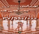 دفتر خدمات مسافرتی دورگردون - تور مثلث طلایی هند