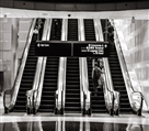 شرکت آسانسور و پله برقی الفارس - تصویر 8050
