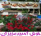 دبیرستان غیردولتی دخترانه ایران دخت - تصویر 76655