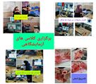 دبیرستان غیردولتی دخترانه ایران دخت - تصویر 78636
