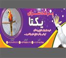 پرنده سرای یکتا - تصویر 77555