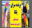 پرنده سرای یکتا - تصویر 77556