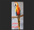 پرنده سرای یکتا - تصویر 77557