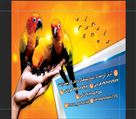 پرنده سرای یکتا - تصویر 77558