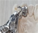 لابراتوار دندانسازی مفید - تصویر 81388