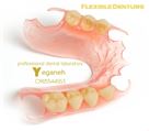 لابراتوار تخصصی پروتزهای دندانی یگانه - فلکسیبل
