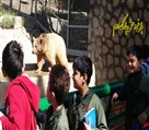 دبستان پسرانه غیردولتی نیکان 3 - اردوی باغ وحش