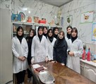 مجموعه مدارس هدف - تصویر 120683