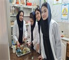 مجموعه مدارس دخترانه متوسطه دوم و متوسطه اول هدف - تصویر 136526