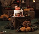 استودیو عکاسی ژو - تم پاییزی 1403
