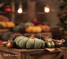 استودیو عکاسی ژو - تم پاییزی 1403