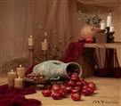 استودیو عکاسی ژو - یلدای 1403