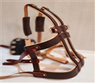 مرکز ارتوپدی فنی پاسارگاد - بریس