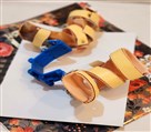 مرکز ارتوپدی فنی پاسارگاد - بریس