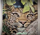 آموزشگاه خانه هنر - مدادرنگی