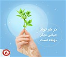نمایندگی بانک خون بند ناف رویان - تصویر 92949