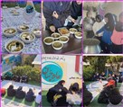 دبیرستان متوسطه دوره اول دخترانه ماه جهان - تصویر 119450