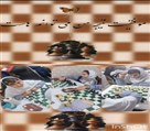 مجتمع آموزشی غیر دولتی دخترانه رویای روشن - تصویر 117839