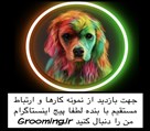 آرایشگاه تخصصی حیوانات خانگی مهران - تصویر 97326