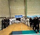 کیوکوشین کاراته شیهان نیکزاد - تصویر 99361