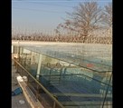 شیشه سکوریت نشکن میرال یاراللهی - تصویر 104037
