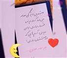 دبستان دخترانه غیردولتی شوق یادگیری ماه آفرید - تصویر 139936