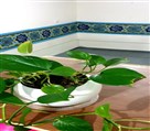 دبیرستان غیردولتی دخترانه دوره دوم فرآموز - تصویر 113897
