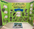 پیش دبستان و دبستان پسرانه پژوهان - طرح جابر