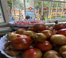 دبستان غیردولتی پسرانه مهراندیشه - تصویر 120433