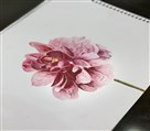 آموزشگاه نقاشی چارینو - تصویر 137358
