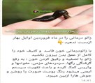 مطب دکتر شهاب حسینی - تصویر 119332