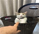 144514