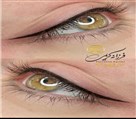 مرکز تخصصی فیبروز ابرو فرزانه کریمی - میکروبلیدینگ و فیبروز ابرو