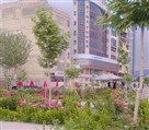 شرکت گردشکری و مسافرتی نیل سیر رویایی - تصویر 120172