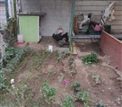 موسسه فرهنگی هنری سبک موفقیت زندگی - تصویر 120314