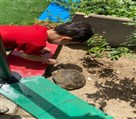 موسسه فرهنگی هنری سبک موفقیت زندگی - جشن آب
