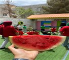 موسسه فرهنگی هنری سبک موفقیت زندگی - جشن هندوانه