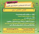 دبیرستان متوسطه اول دخترانه غیردولتی مهرطوبی - تصویر 121228