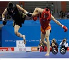 باشگاه mma عطاعی - تصویر 122637