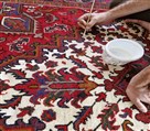 کارخانه قالیشویی شفقی تبریز - رنگبرداری