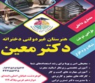 هنرستان دخترانه غیردولتی دکترمعین شعبه 2 - رشته ها