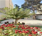 هنرستان دخترانه غیردولتی دکتر معین شعبه 2 - حیاط