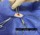 کلینیک دامپزشکی نیلا - تصویر 130069