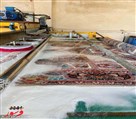 کارخانه قالیشویی پایدار - تصویر 130279