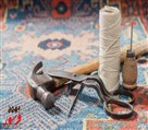 کارخانه قالیشویی پایدار - تصویر 130280