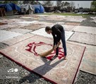 کارخانه قالیشویی پایدار - تصویر 130282