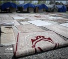 کارخانه قالیشویی پایدار - تصویر 130283