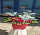گلفروشی نیلوفر آبی - باکس پول ارایی